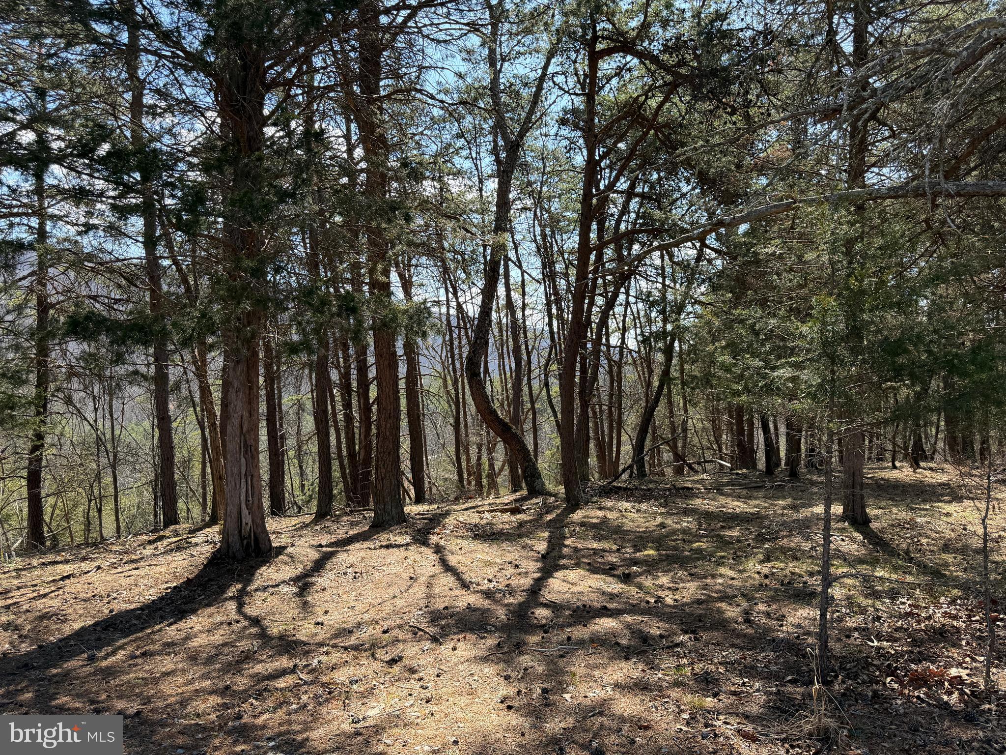 HAMILTON ESTATES - Land