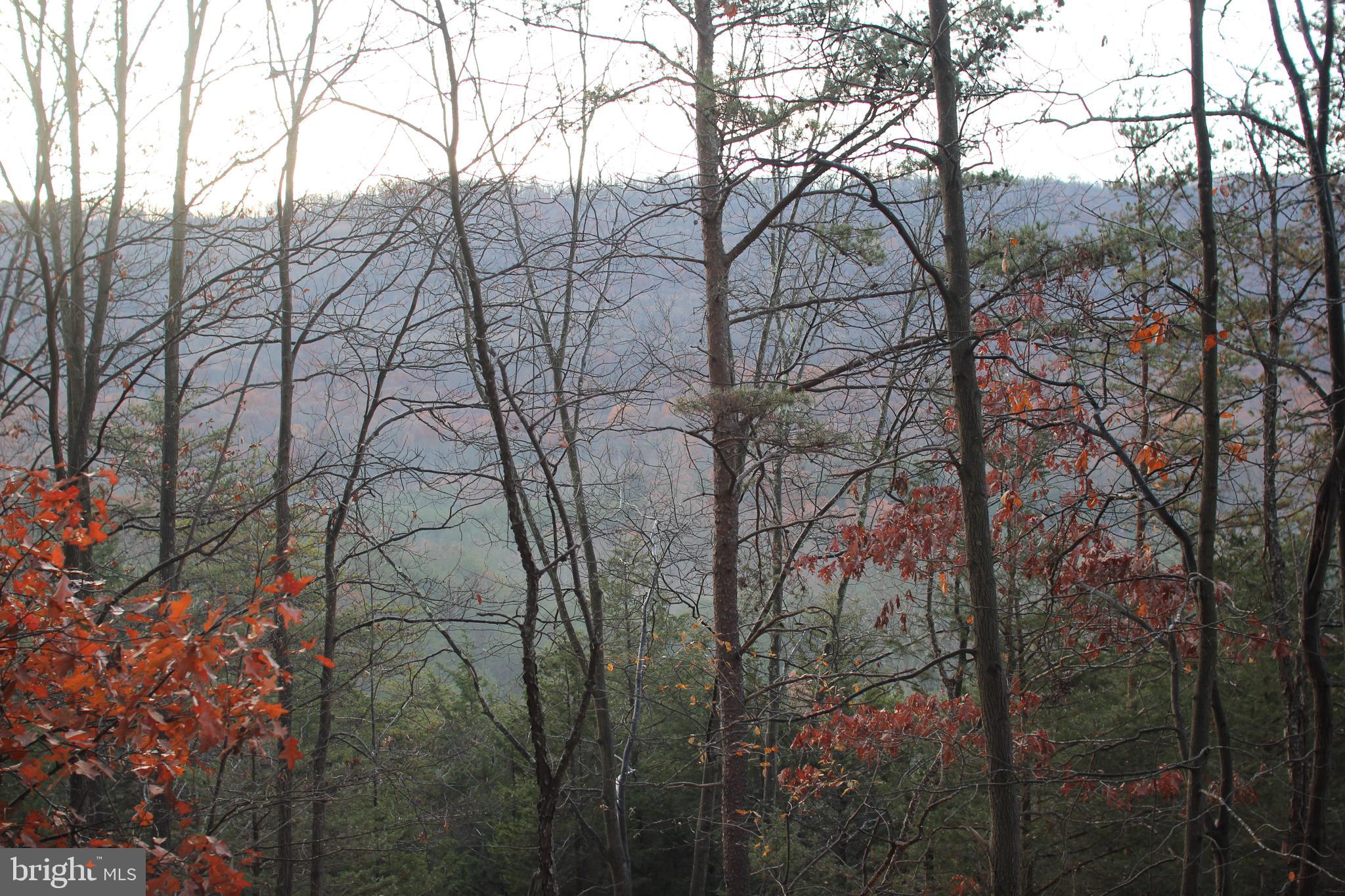 HAMILTON ESTATES - Land