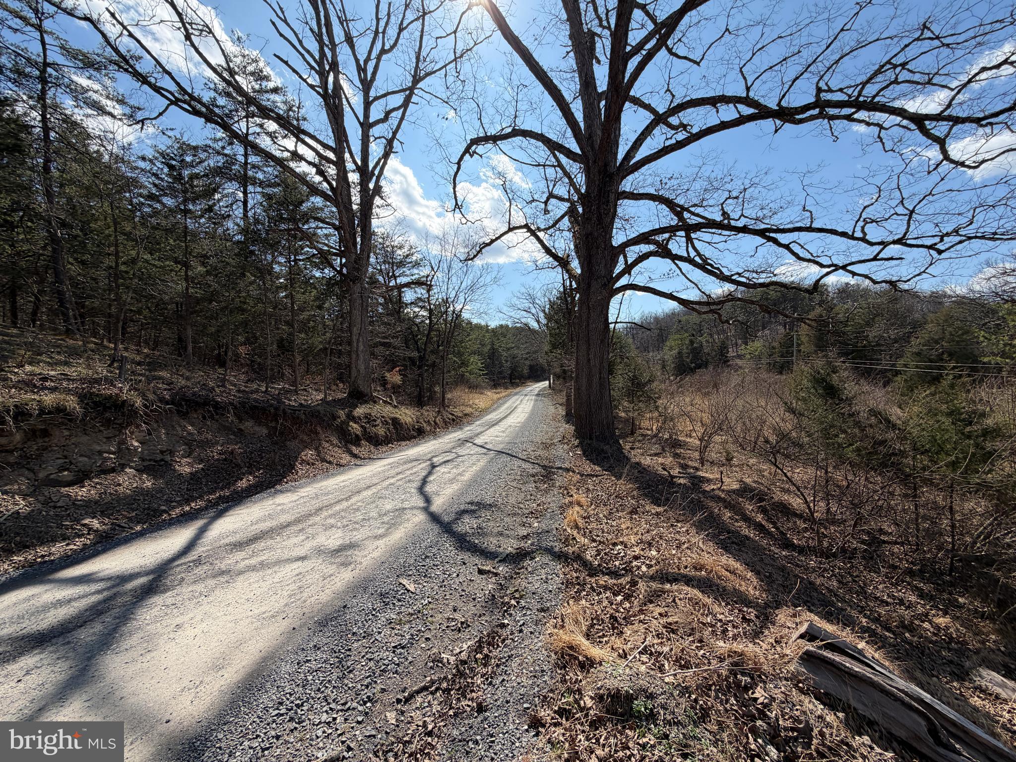 HAMILTON ESTATES - Land