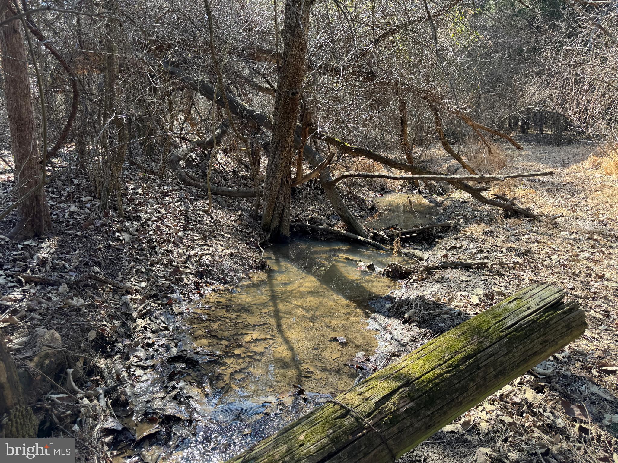 HAMILTON ESTATES - Land