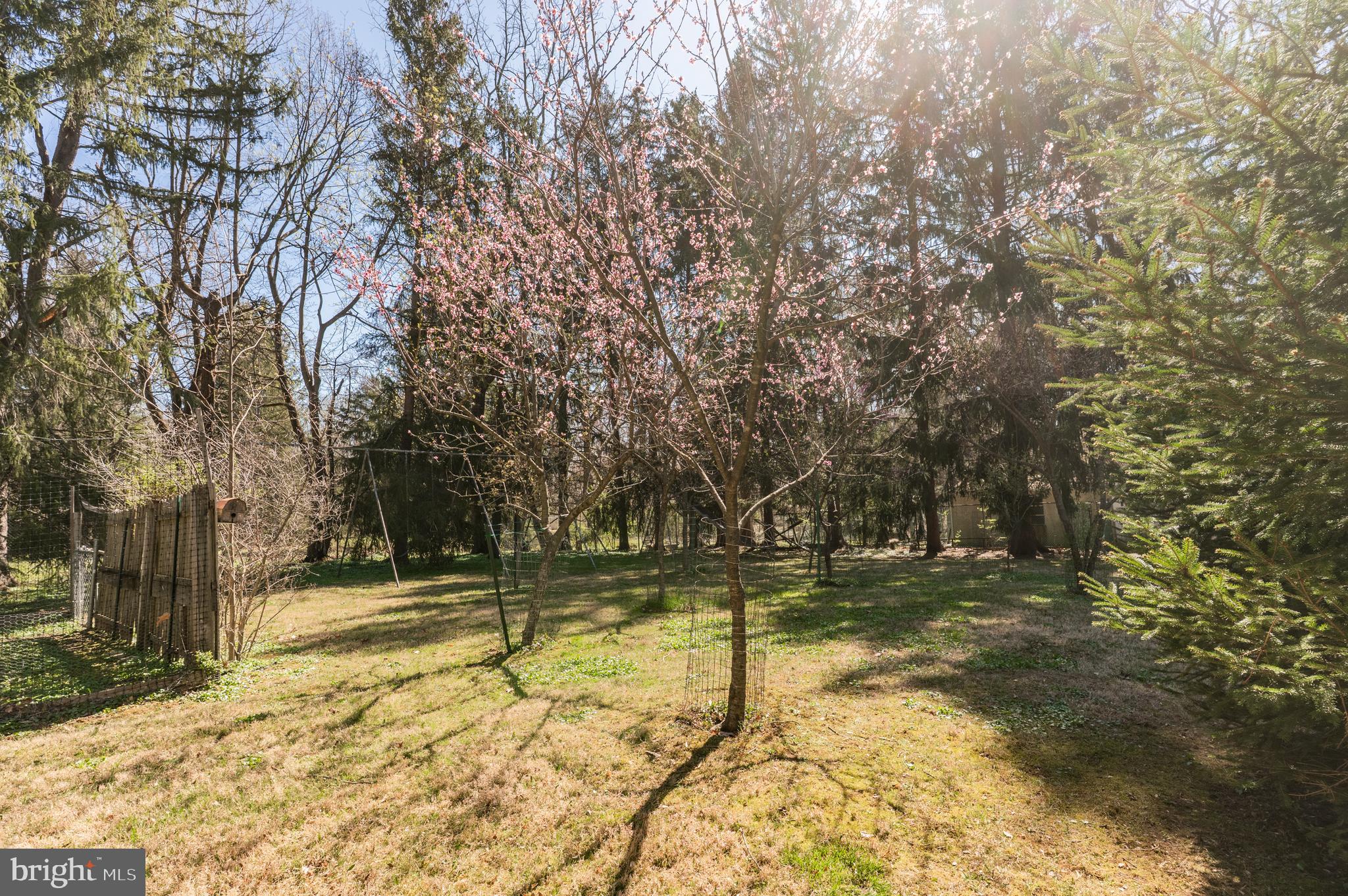 AMBLER - Residential