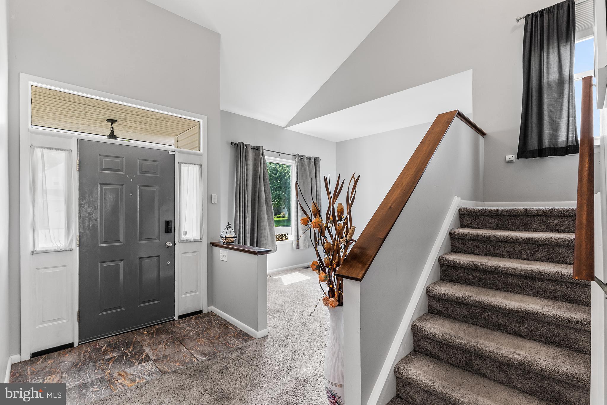 113 BUENA VISTA DRIVE