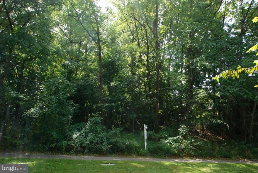 PRIME 28,000 SF  LOT AVAIL FOR DEVELOPMENT OF CUSTOM HOME. GREAT CHEVY CHASE LOCATION. MINUTES TO DOWNTOWN SILVER SPRING & METRO. LOT BACKS TO ROCK CREEK PARK, OFFERING PRIVACY & SMASHING VIEWS. JUST ACROSS D.C. LINE TO RC PARK, 16TH ST, DOWNTOWN D.C. ESTABLISHED NEIGHBORHOOD W EXCELLENT PRICE POTENTIAL. AWARD-WINNING SCHOOLS. 2ND LOT FOR SALE AT $649,000. PURCHASE TWO LOTS TOGETHER @ $1,299,000.