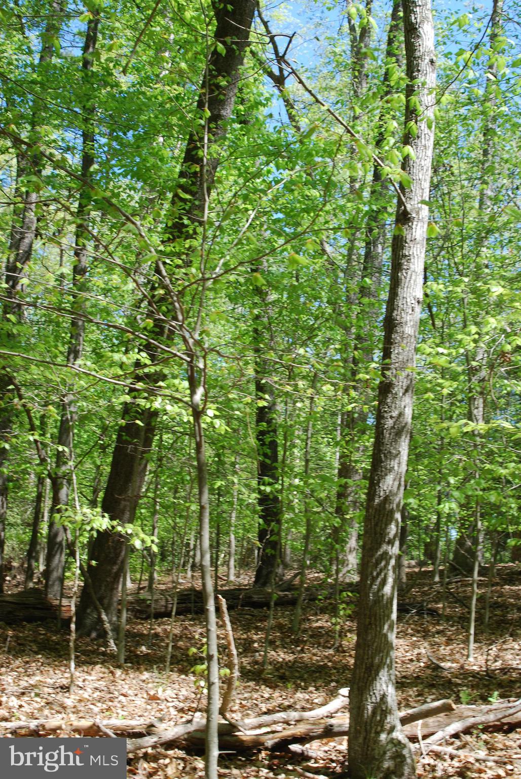 Parcel 45 BRYAN POINT ROAD