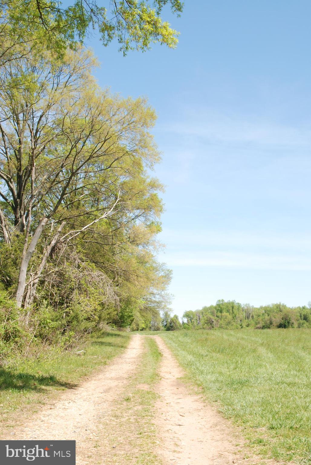 MOYAONE RESERVE - Land