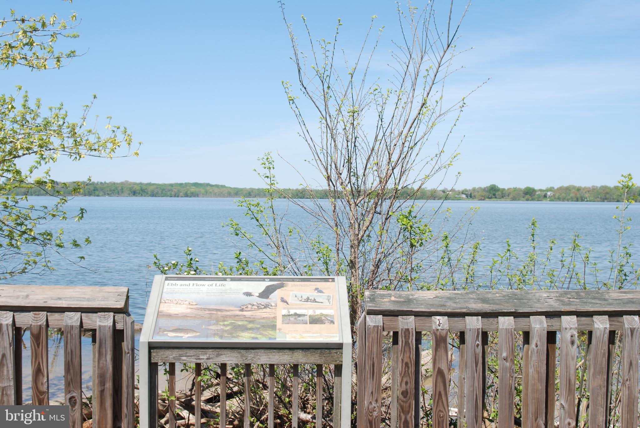 MOYAONE RESERVE - Land