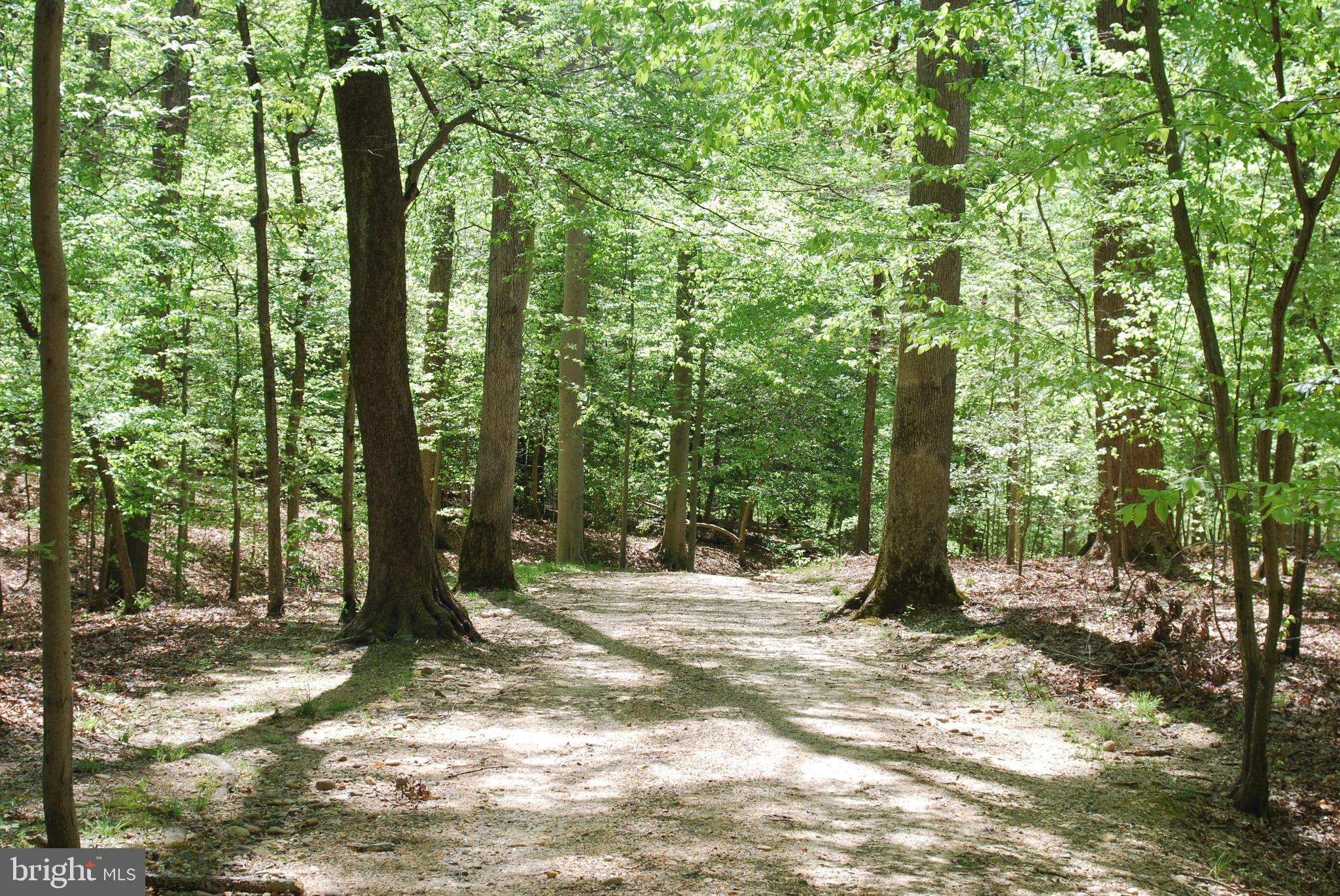 MOYAONE RESERVE - Land