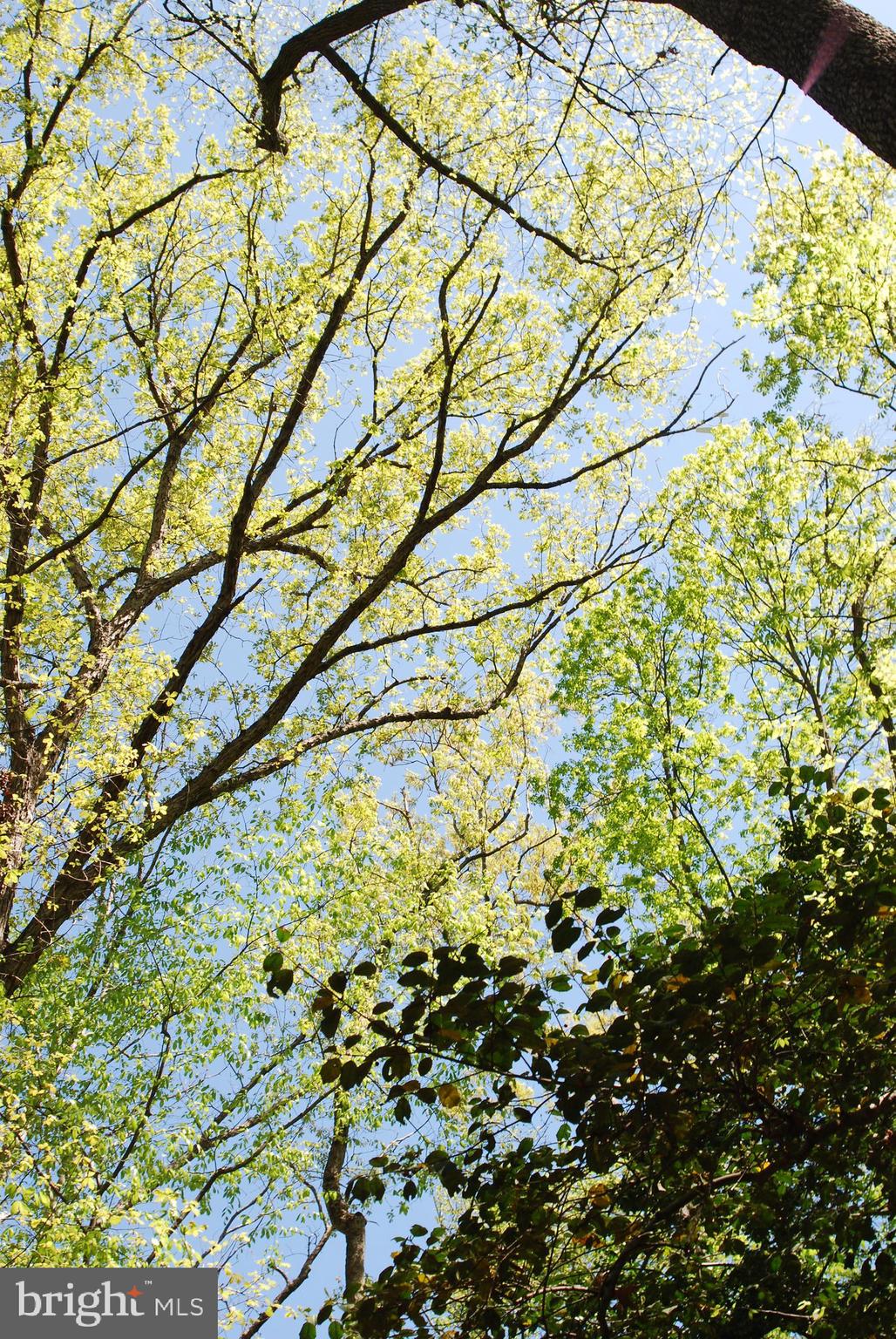 Parcel 45 BRYAN POINT ROAD