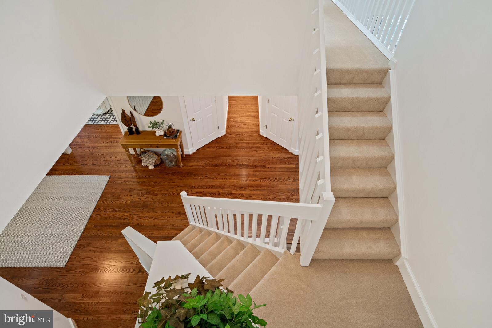 BELLEVUE FOREST - Residential