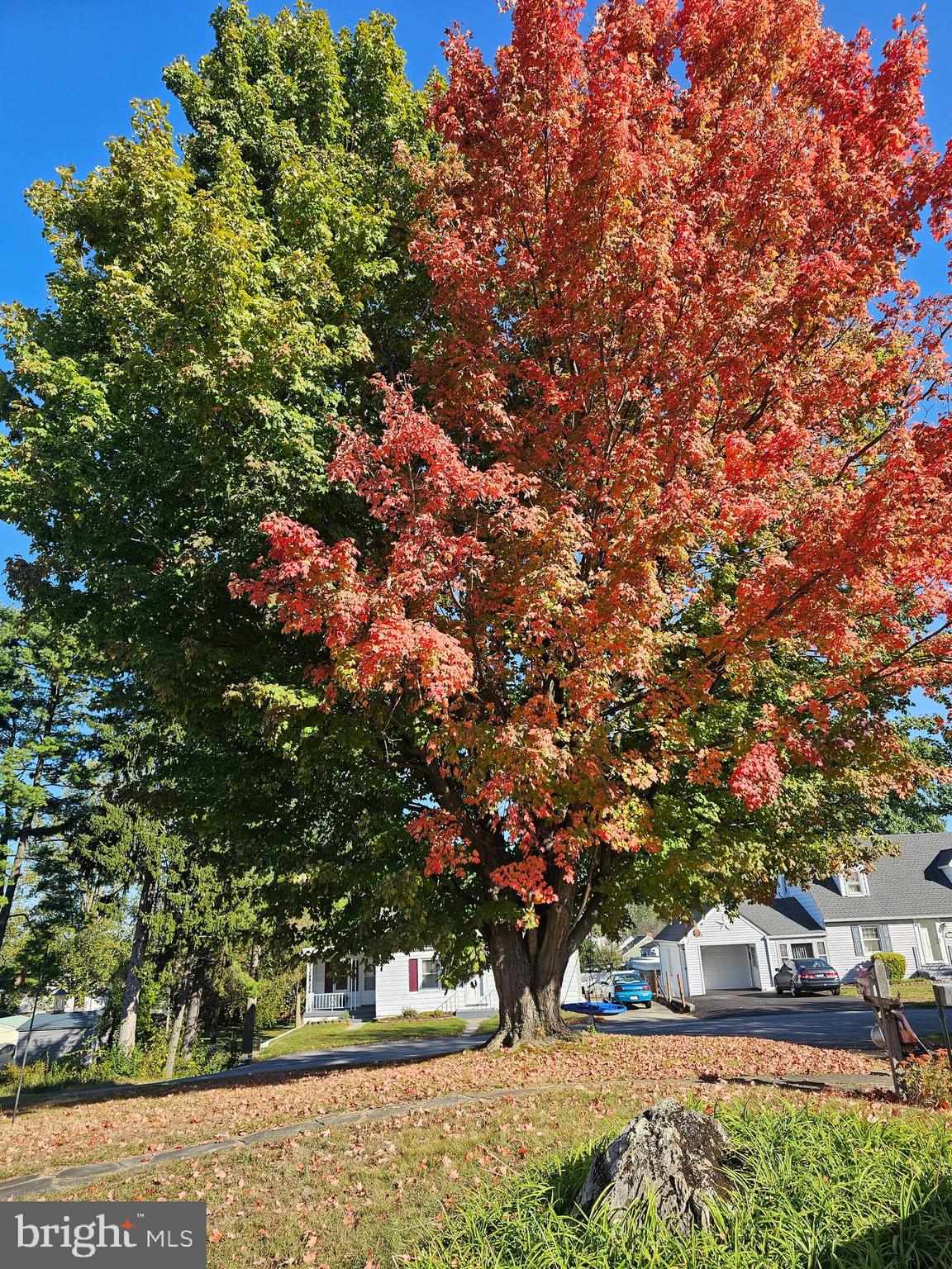 HALFWAY - Residential