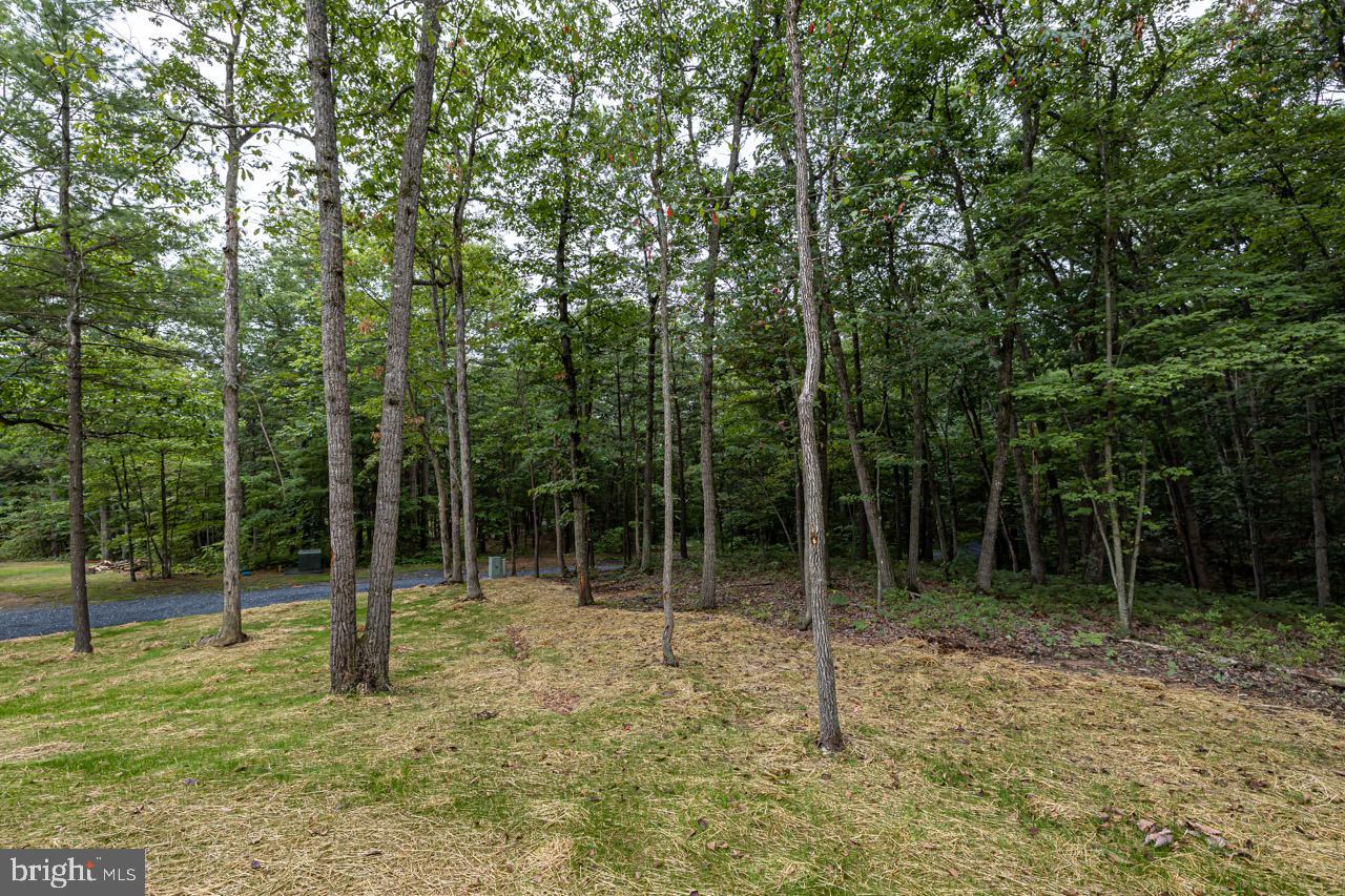 BRYCE MOUNTAIN - Residential