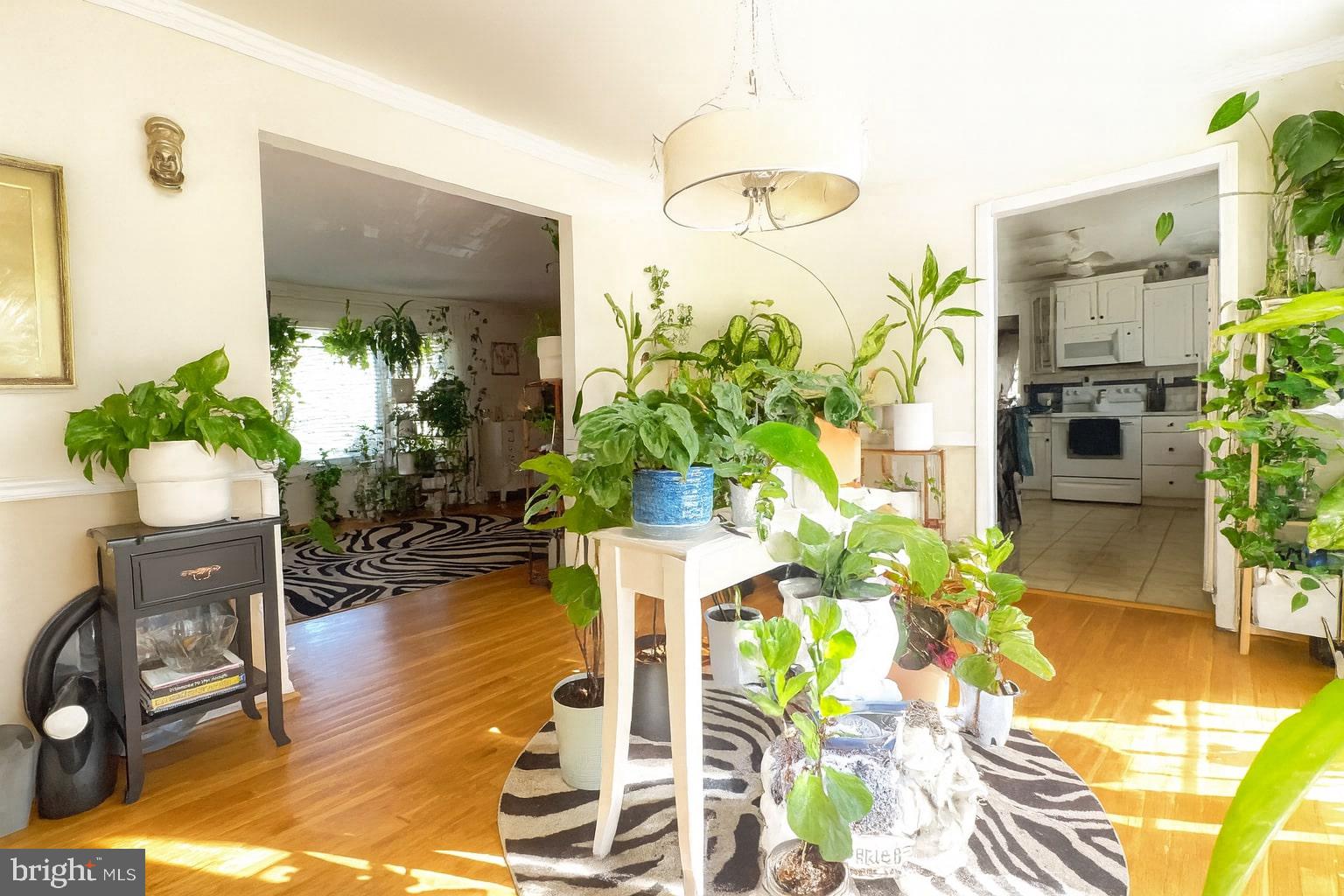 CALVERTON - Residential