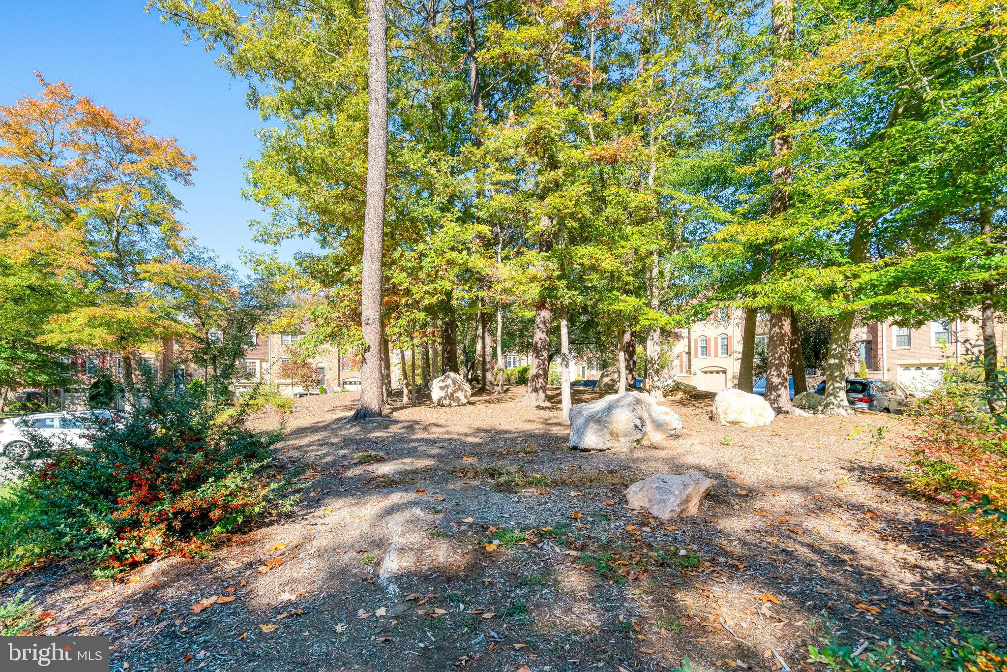 HUNTER VILLAGE - Residential