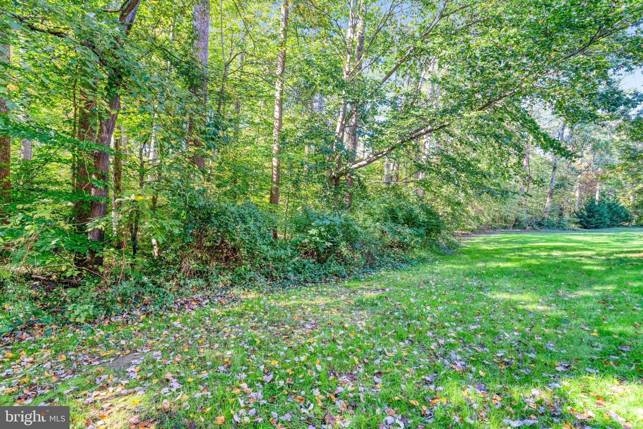 HUNTER VILLAGE - Residential