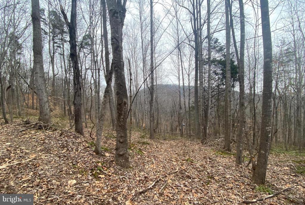 0 TURKEY RIDGE ROAD