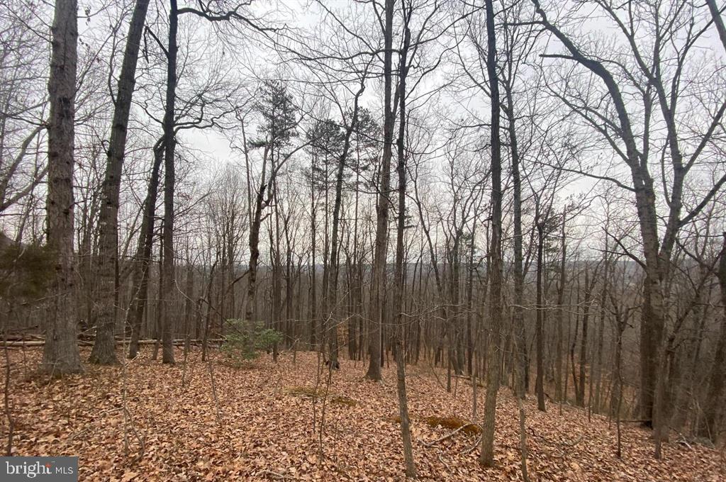 0 TURKEY RIDGE ROAD