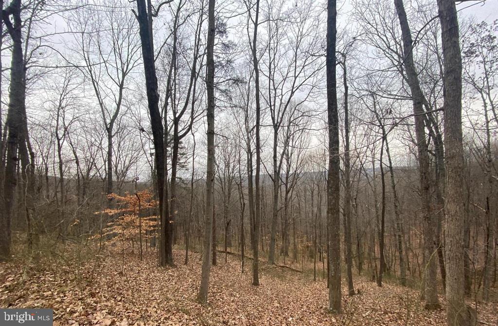 0 TURKEY RIDGE ROAD