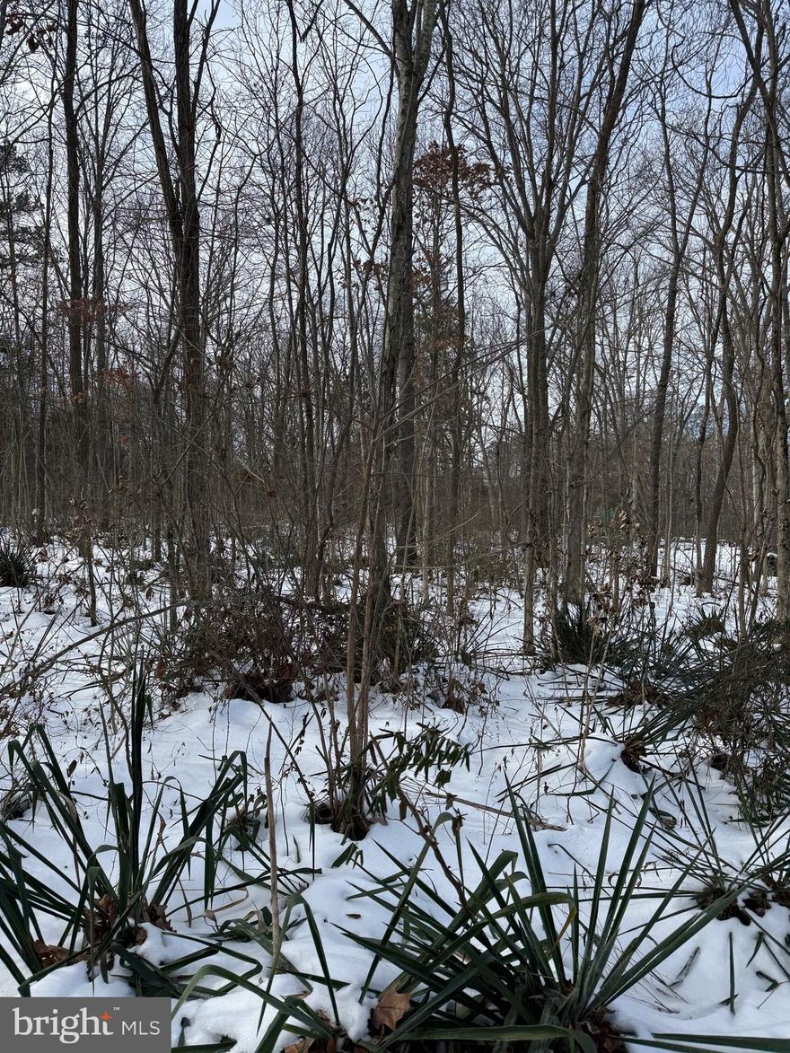 NICE 1/2 +/-  ACRE LOT wooded. Public sewer available. Great for a starter home.