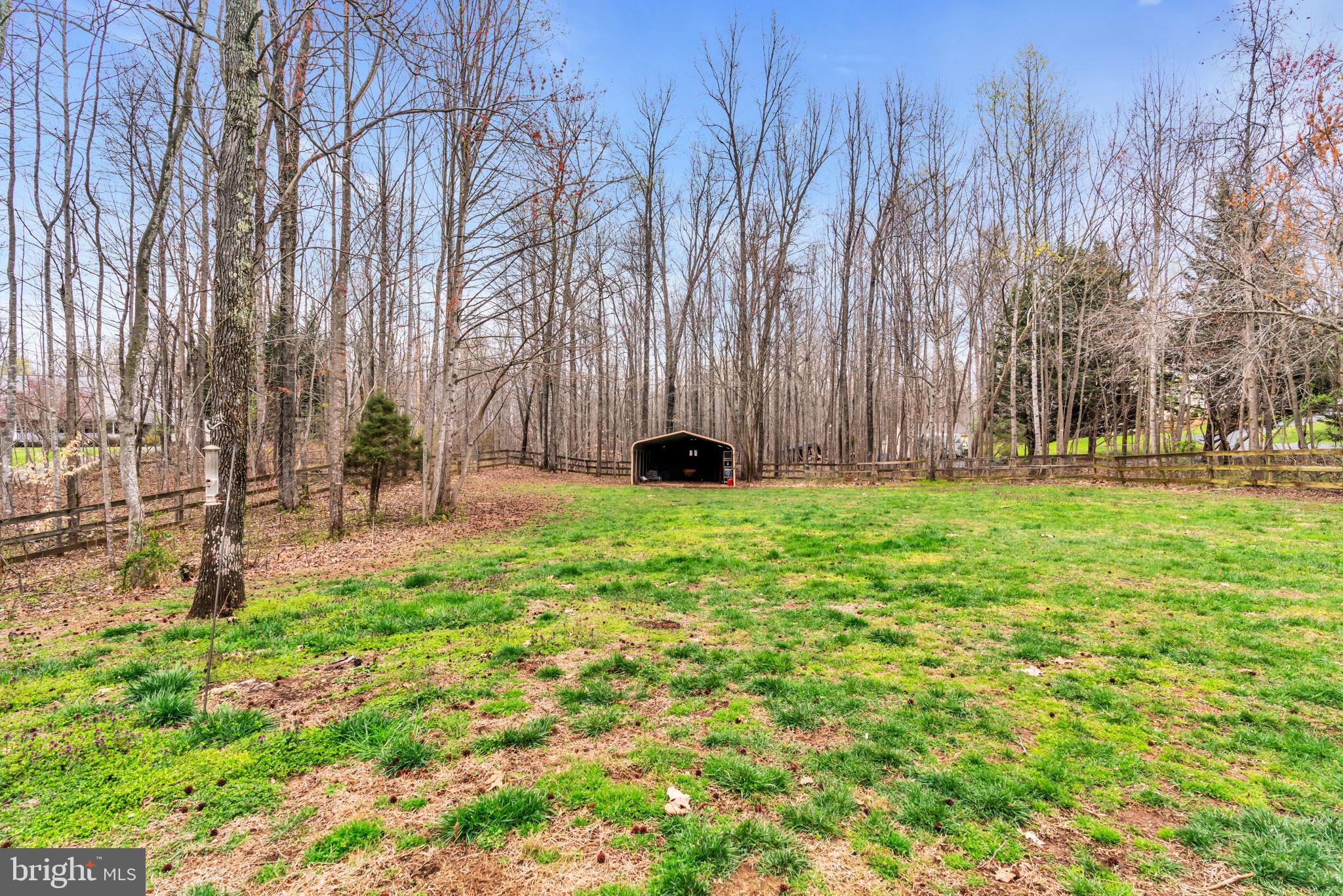 AMSONIA - Residential