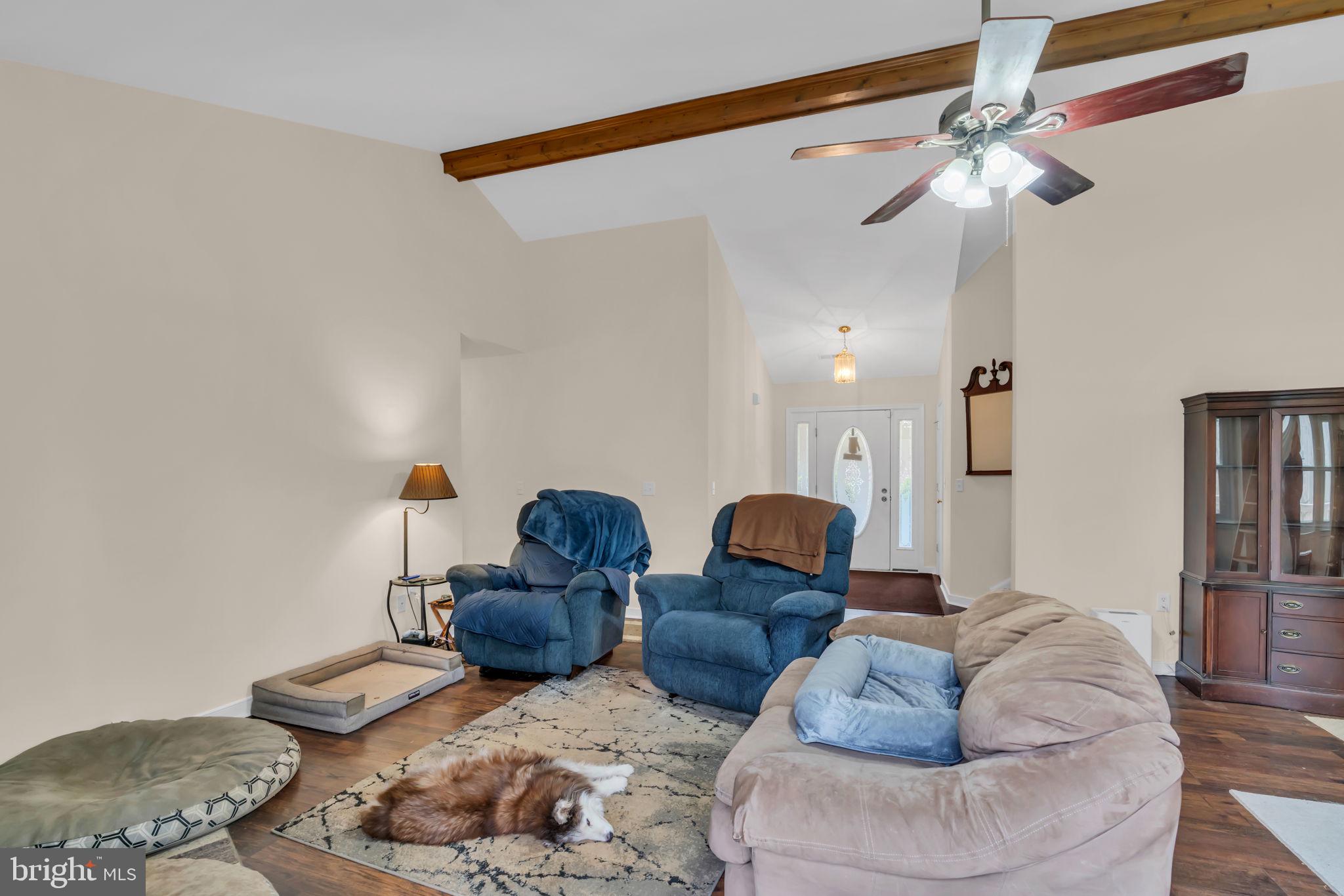 AMSONIA - Residential