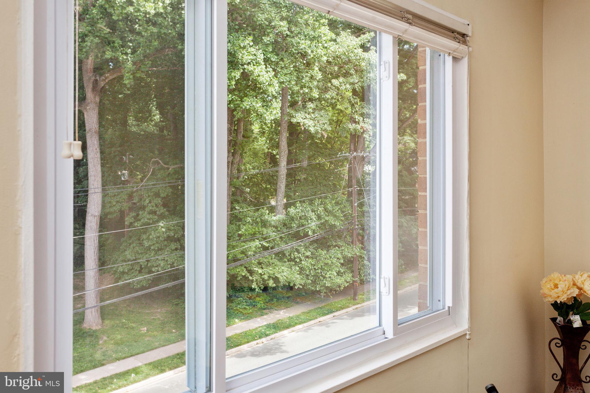 SILVER SPRING - Residential