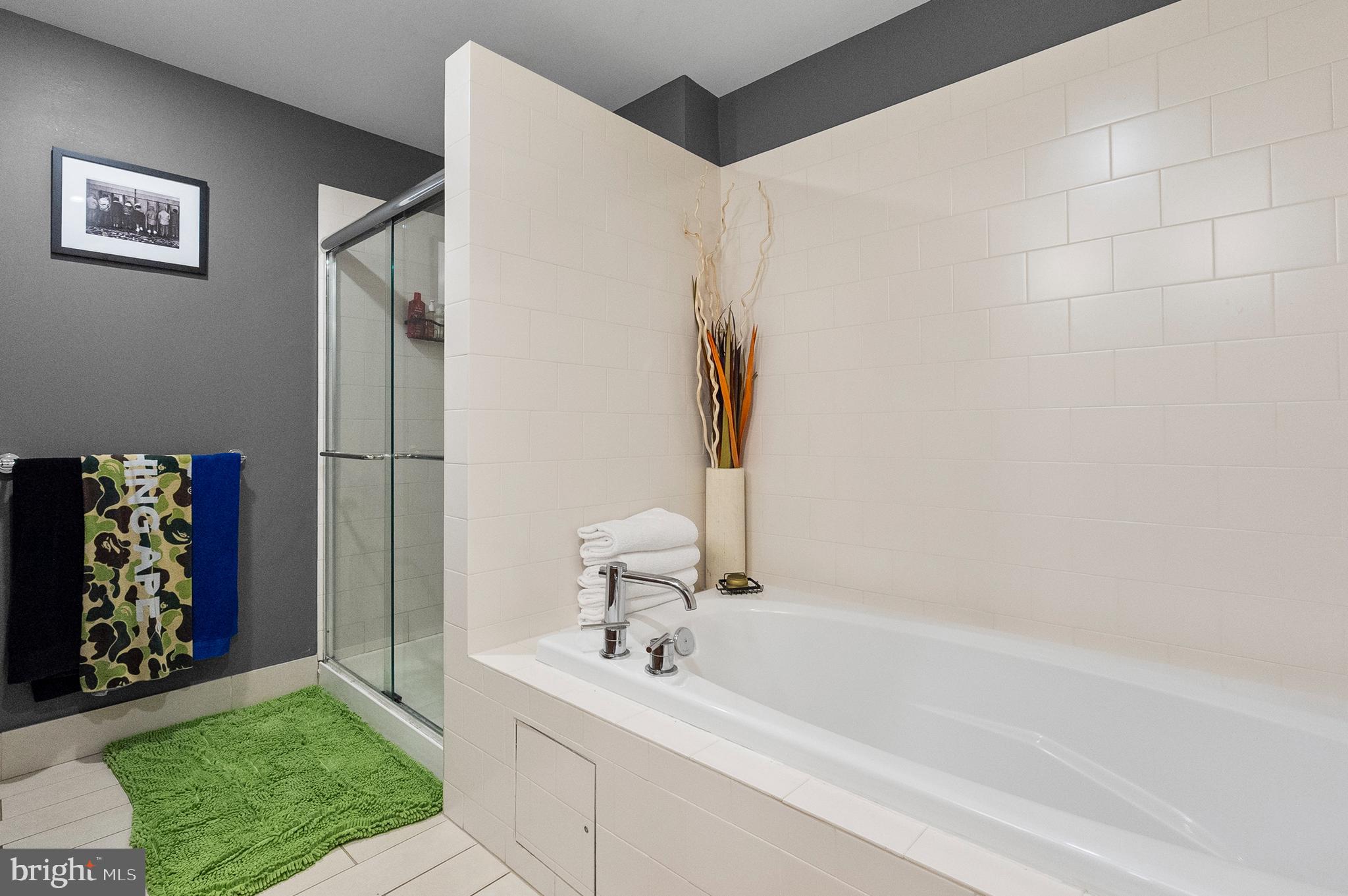 LOCUST POINT - Residential