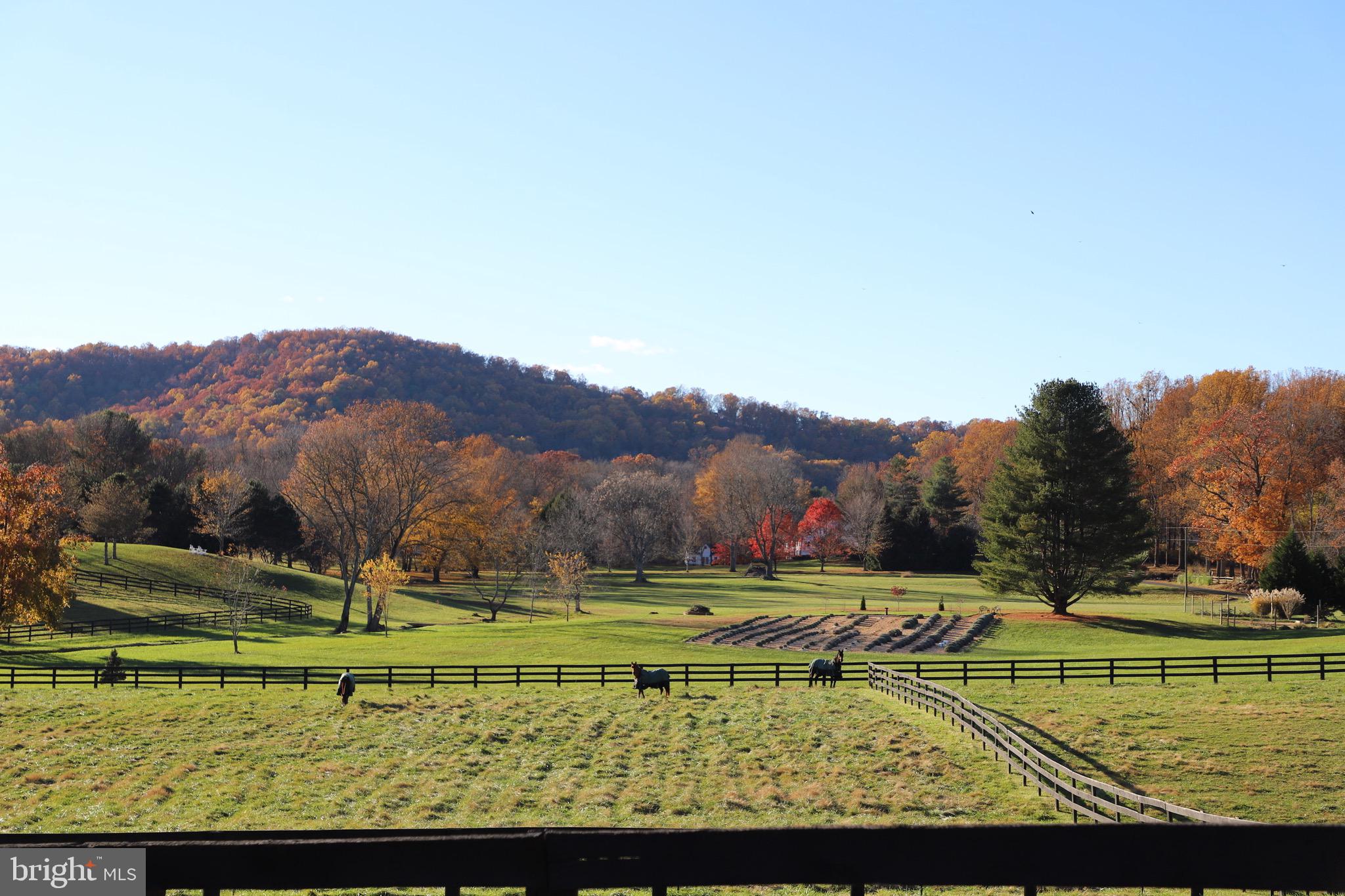 FLEETWOOD FARMS - Residential