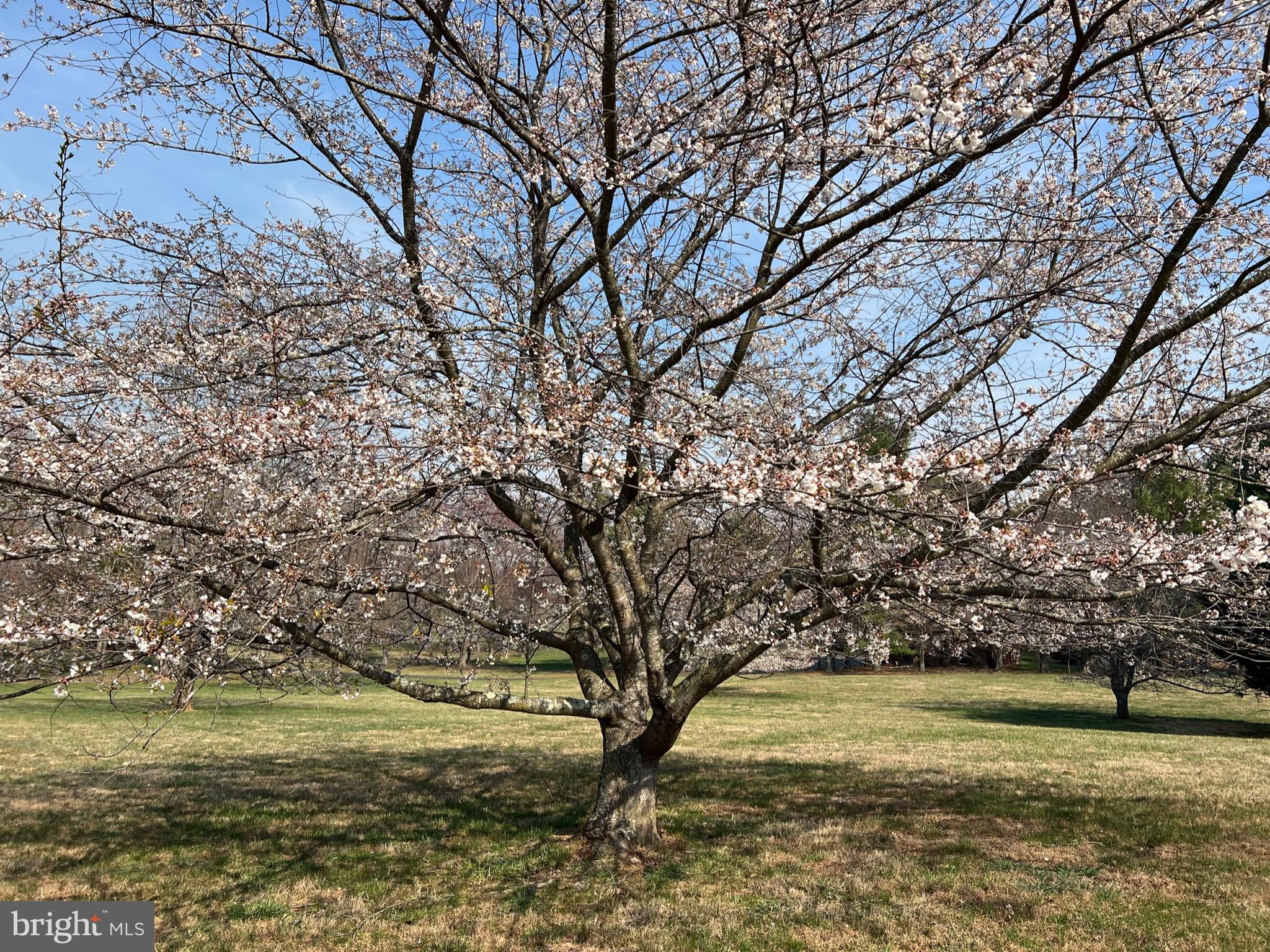 FLEETWOOD FARMS - Residential
