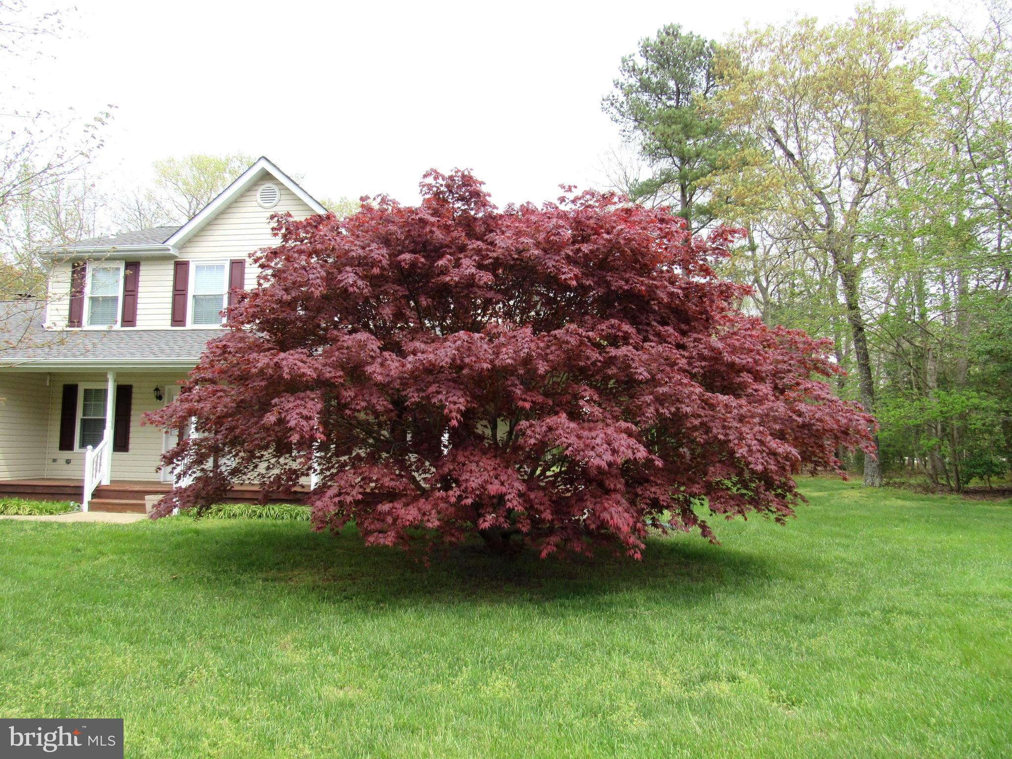 ELLENWOOD - Residential