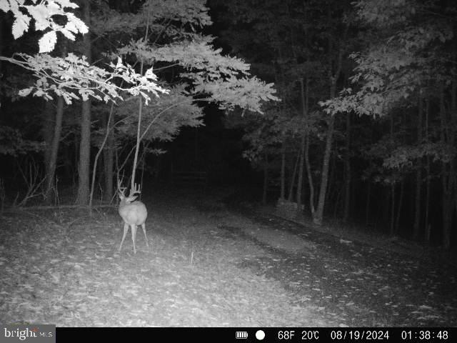 BLUFFS ON THE POTOMAC - Residential