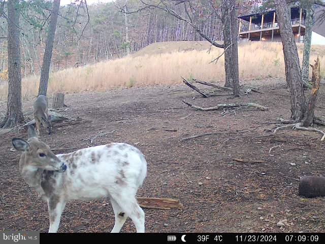 BLUFFS ON THE POTOMAC - Residential