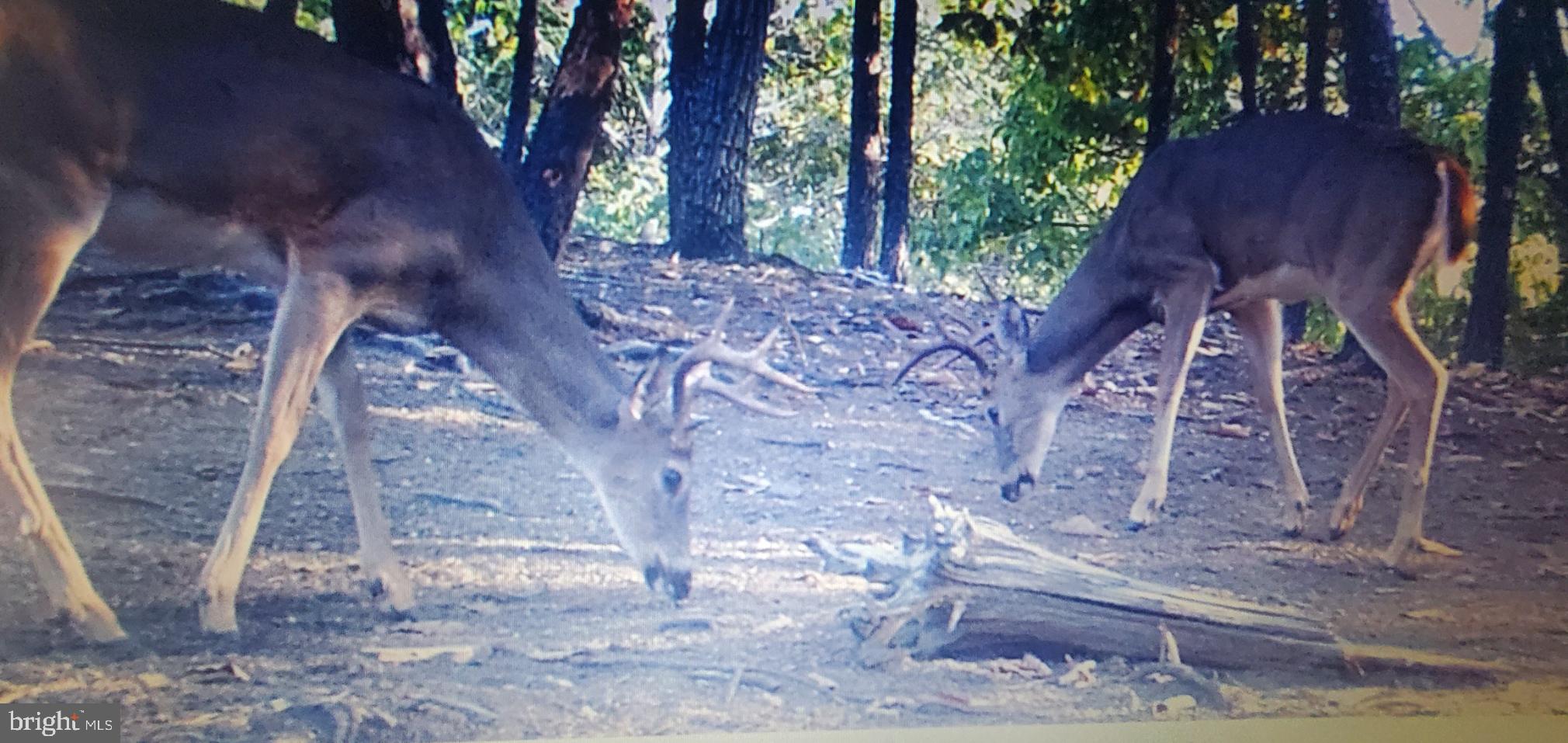 BLUFFS ON THE POTOMAC - Residential