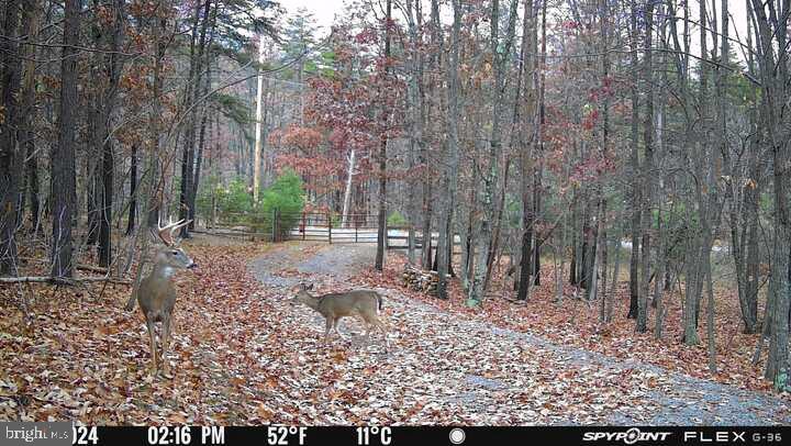 BLUFFS ON THE POTOMAC - Residential