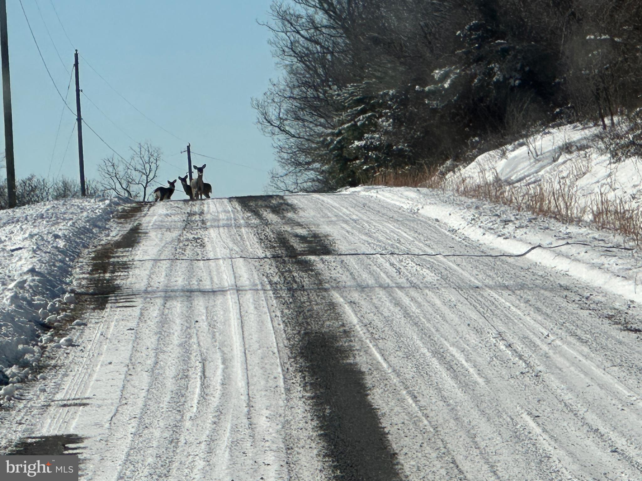 BLUFFS ON THE POTOMAC - Residential