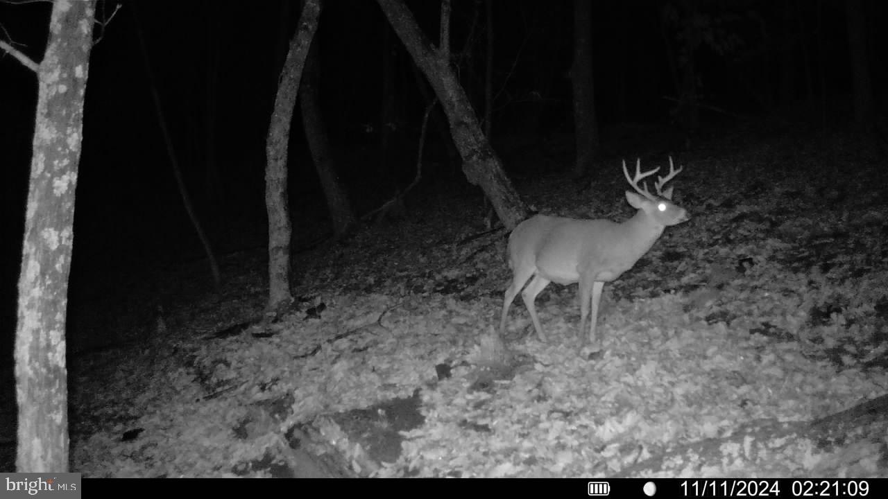 BLUFFS ON THE POTOMAC - Residential