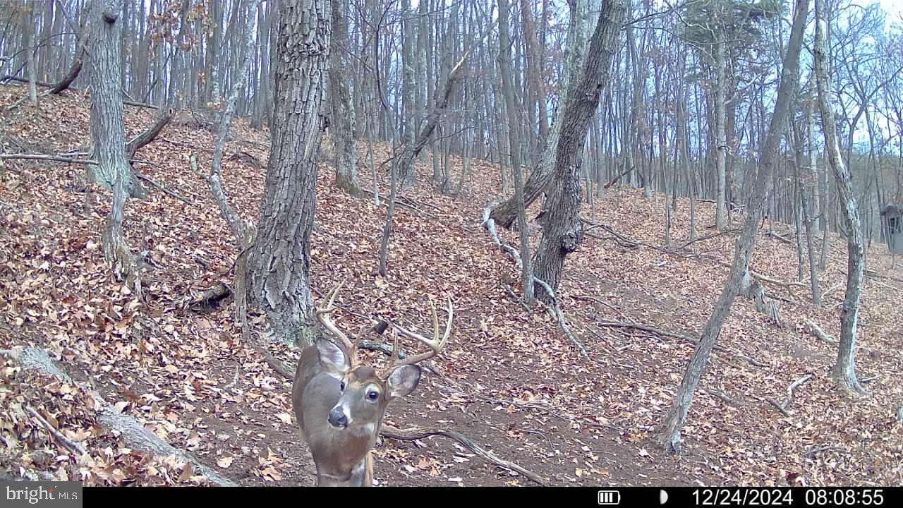 BLUFFS ON THE POTOMAC - Residential