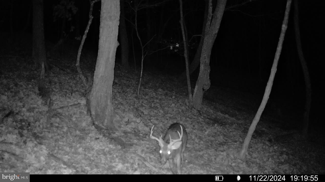 BLUFFS ON THE POTOMAC - Residential