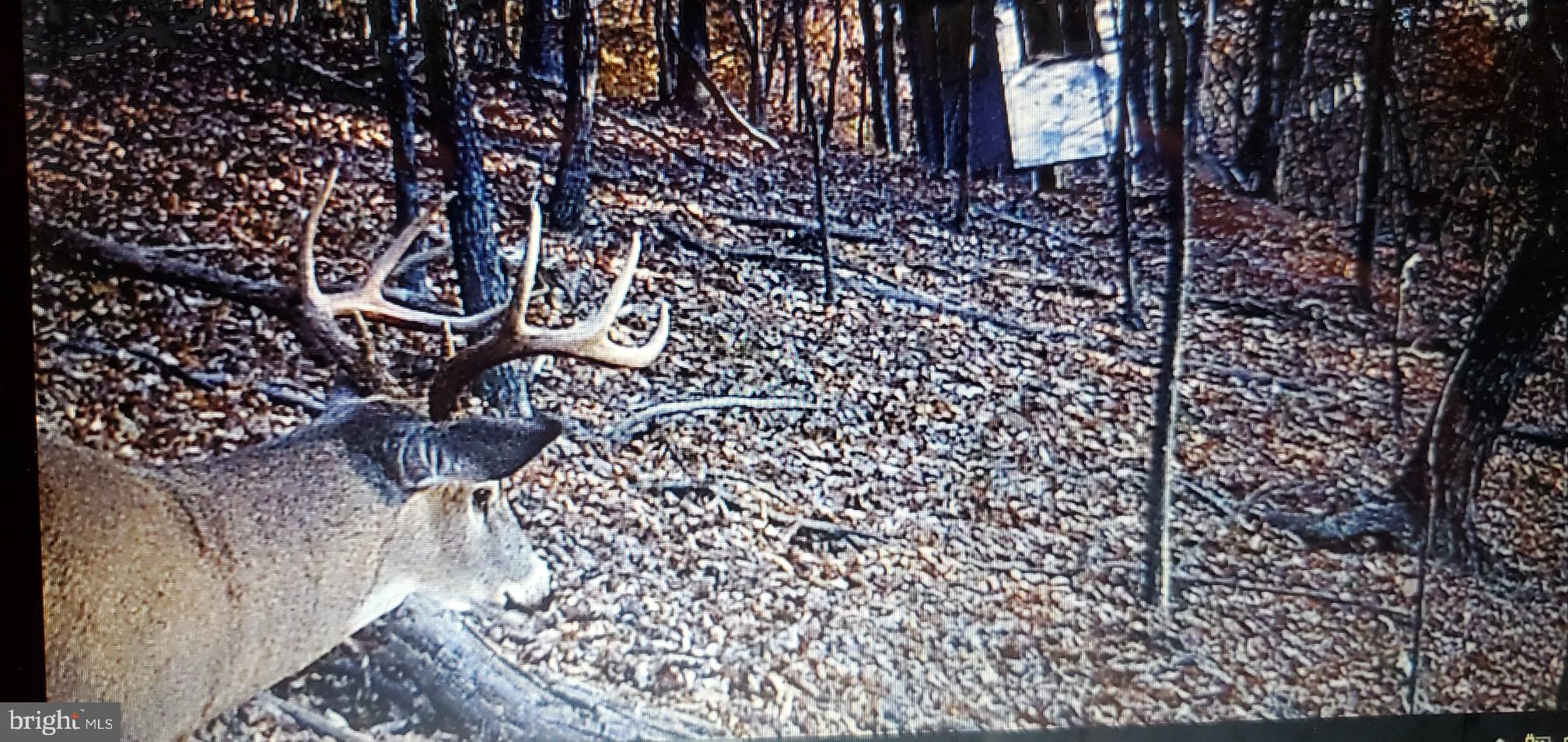 BLUFFS ON THE POTOMAC - Residential