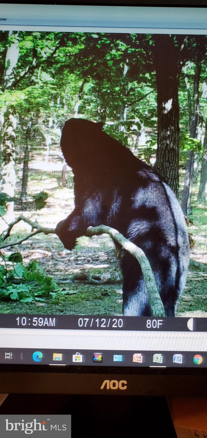 BLUFFS ON THE POTOMAC - Residential