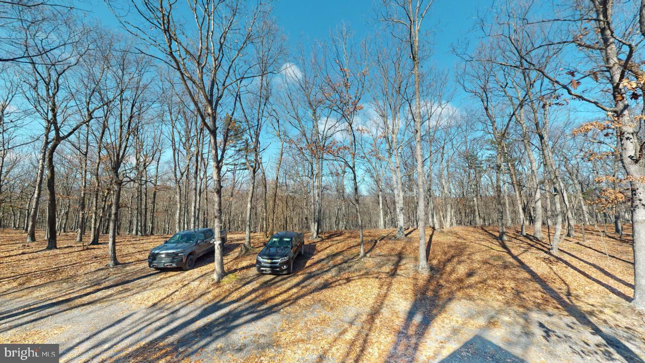 WHITETAIL RIDGE - Residential