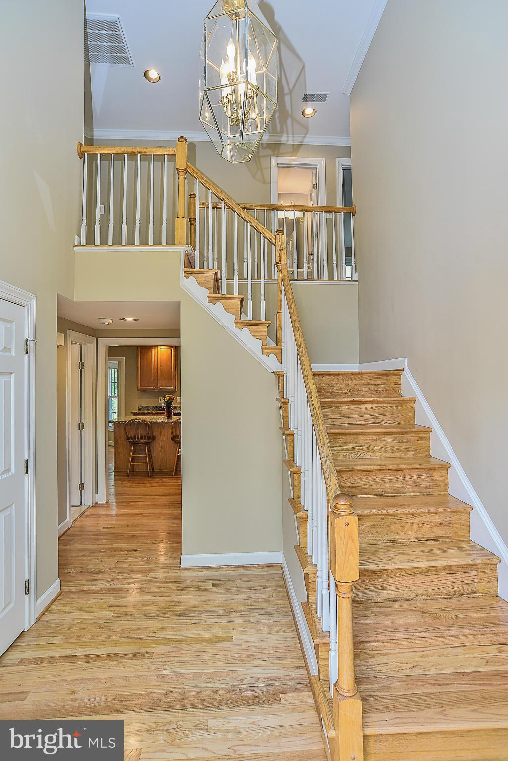 VIRGINIA RUN - Residential