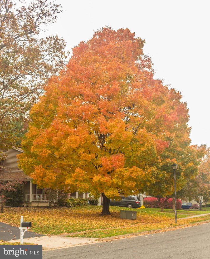FRANKLIN GLEN - Residential
