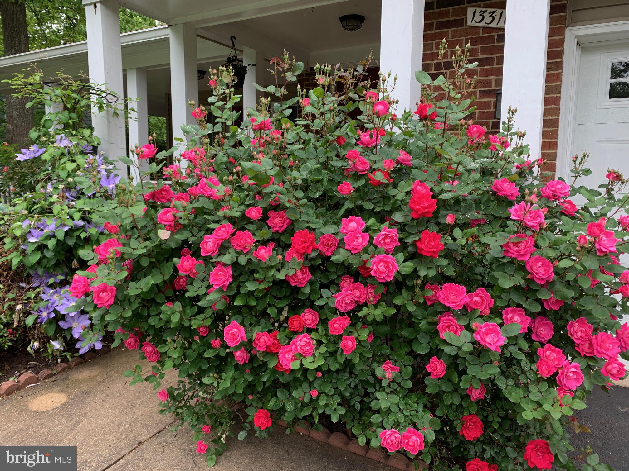 FRANKLIN GLEN - Residential