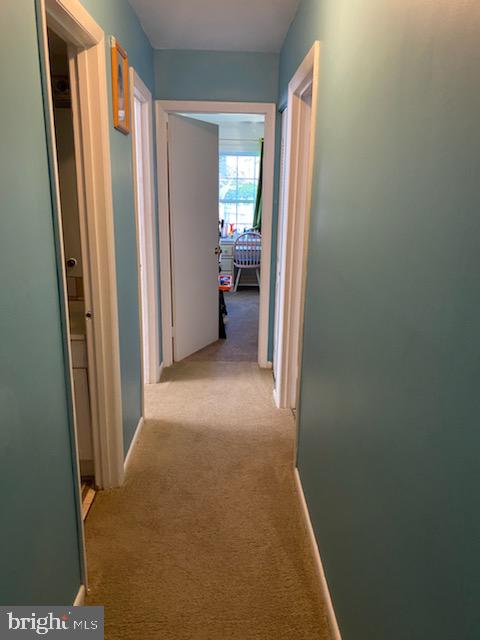 LONDON TOWNE - Residential