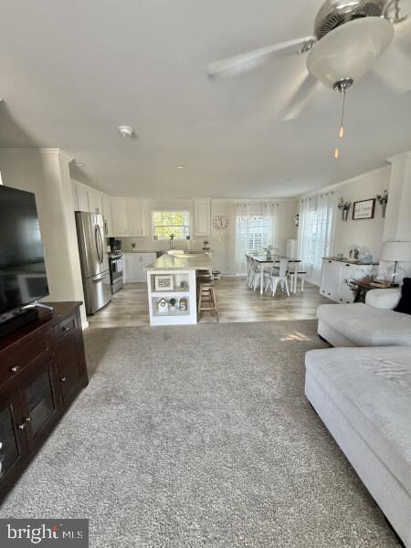 This beautiful 3-bedroom 2 bath home is only 3 years old and has it all. The large kitchen has lots of cabinets as well as an oversized island for plenty of storage. It also has a separate dining area for extra seating for when you have those family parties. This open concept home also has a very spacious living room. There are 2 good sized bedrooms and a main bathroom with a tub. Then you go into the primary bedroom that has a large walk-in closet and a primary bathroom with a stall shower. There is a large separate laundry room that includes a washer and dryer. The outside has patio seating and the home sits on a rare, oversized lot with plenty of yard space and a shed that comes with the home. This home will not last so schedule your showing today.