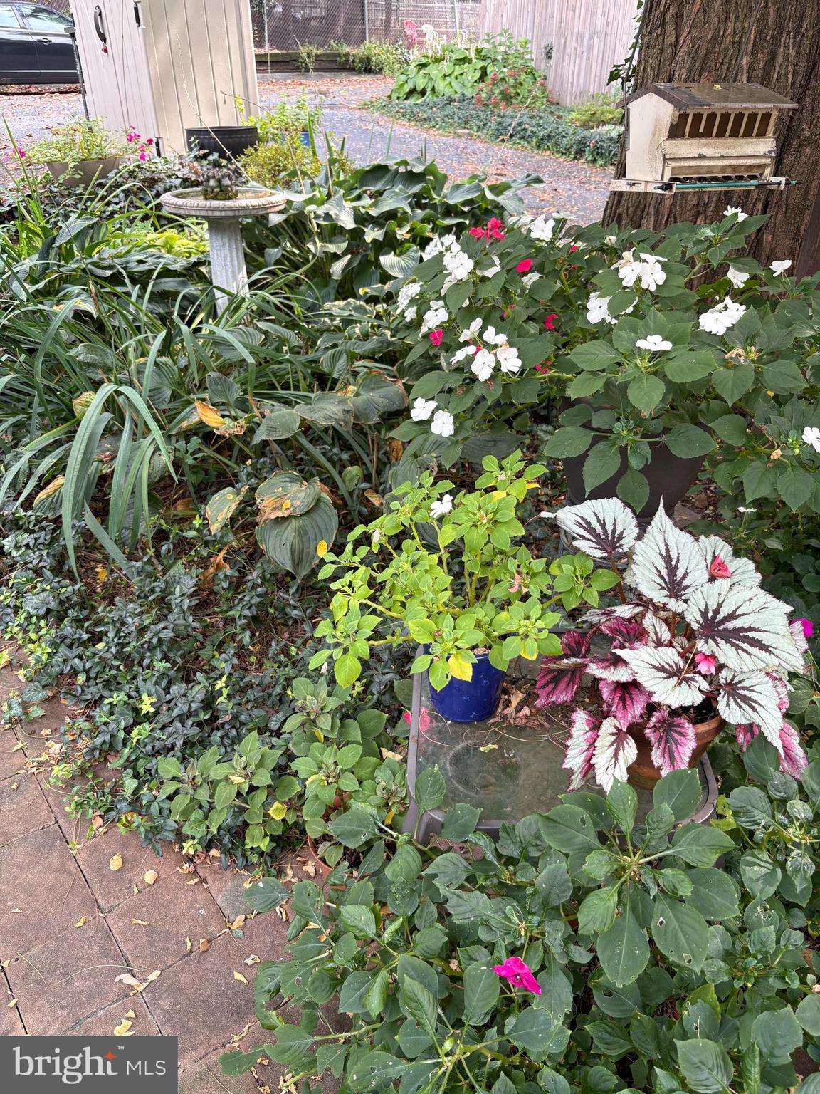 MUSSER PARK - Residential