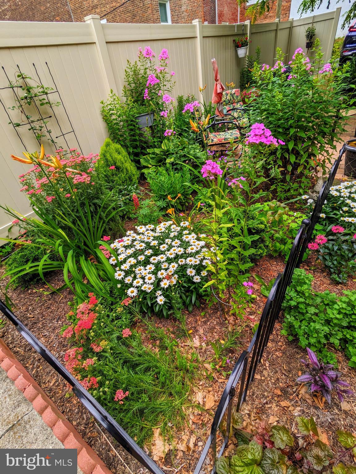 MUSSER PARK - Residential