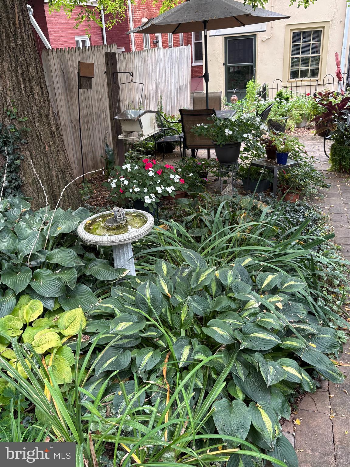 MUSSER PARK - Residential