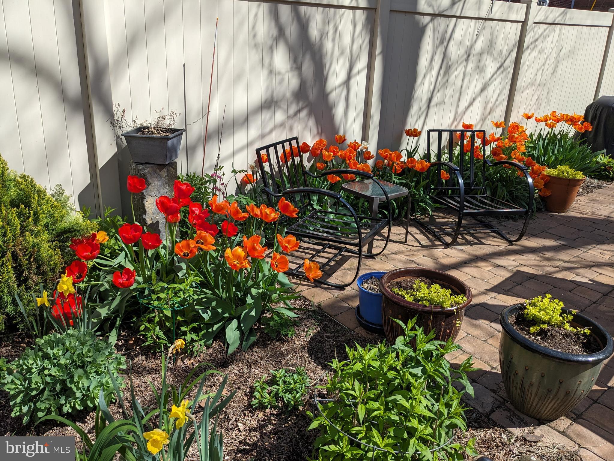 MUSSER PARK - Residential