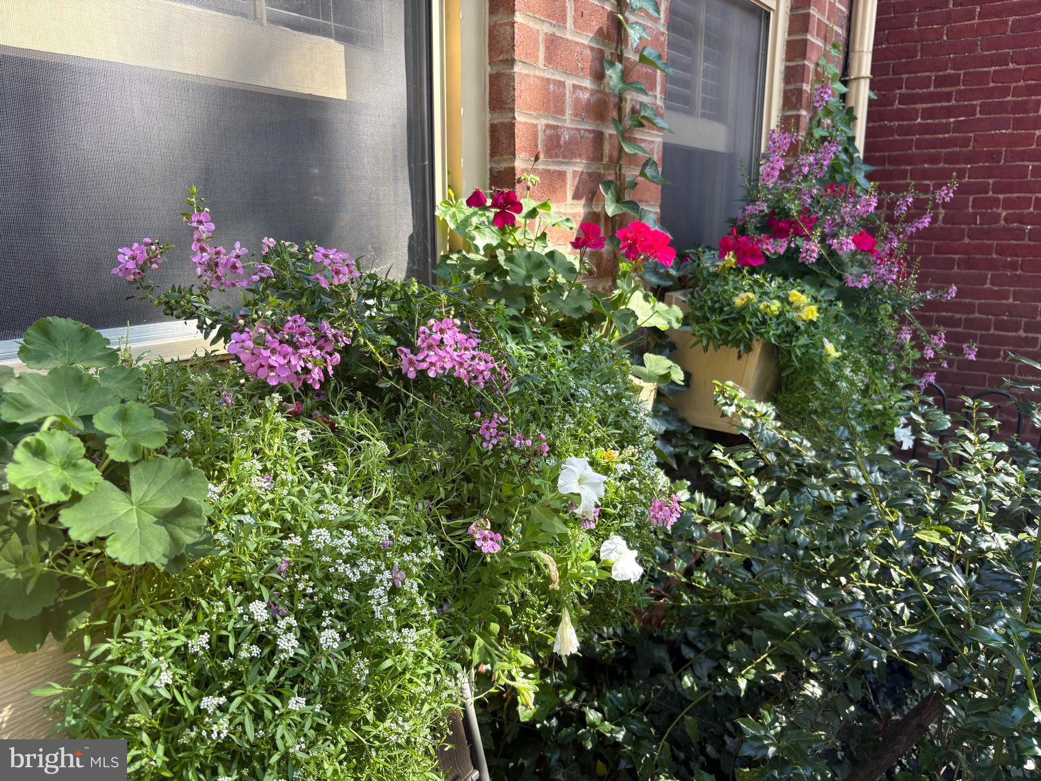 MUSSER PARK - Residential